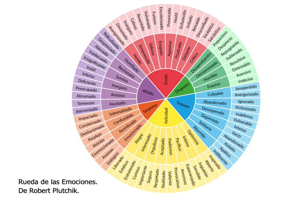 rueda de las emociones como usarla