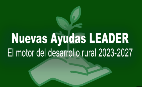 ¿Qué servicios de proximidad pueden recibir ayudas LEADER?