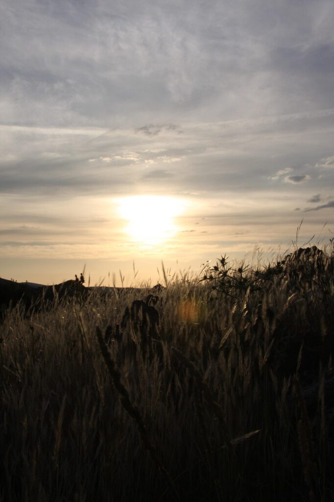 landscape, castile la mancha, mountain, darling, nature