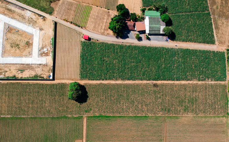 Consejos antes de comprar una parcela o finca rústica
